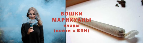 мдпв Дмитриев